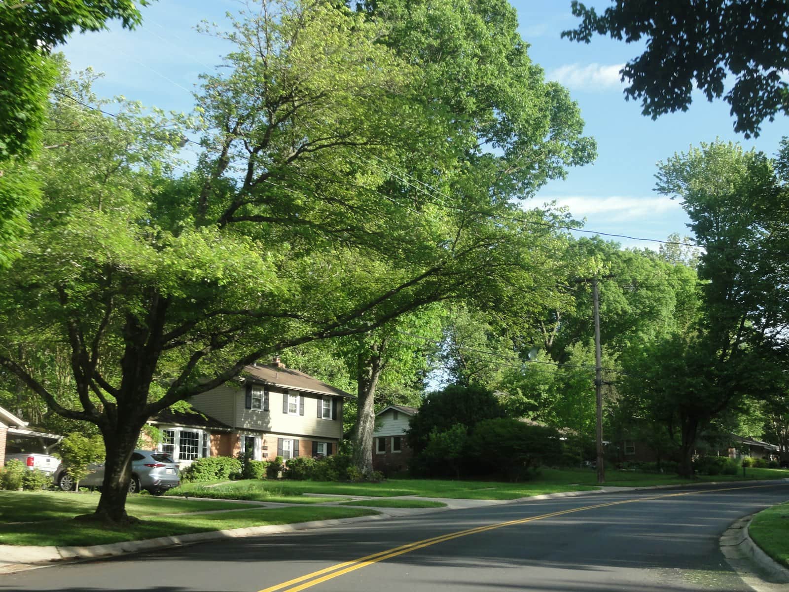 A quiet residential street lined with mature leafy trees, with two-storey houses and cars parked in driveways on a bright summer day.